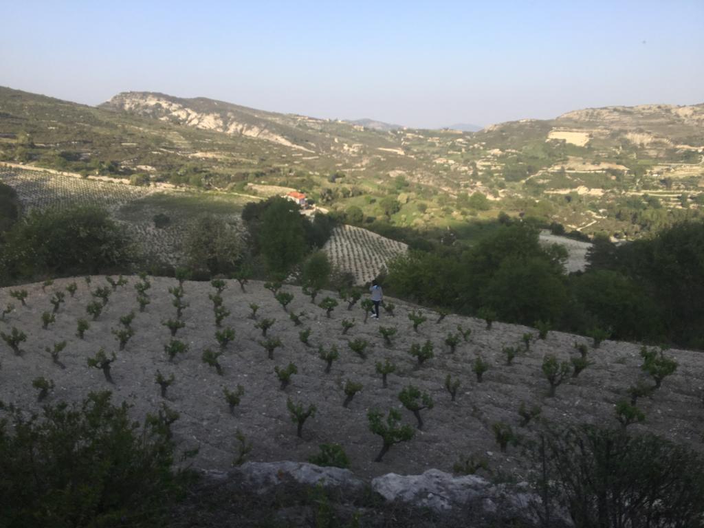 Koilani Village House Екстериор снимка